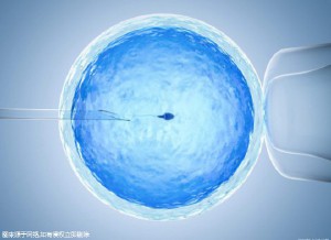 陈若晴 副院长